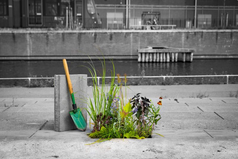 Grey goes Green: adding colour to your community
