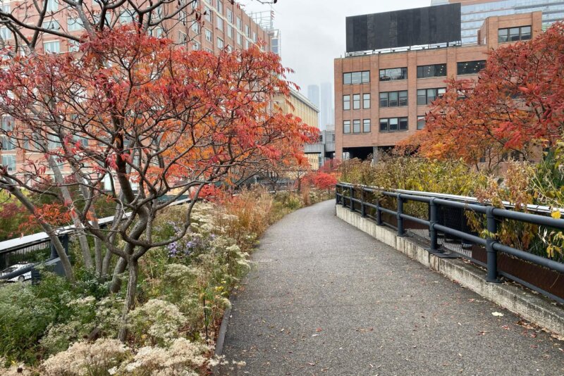 high line-IMG_4890